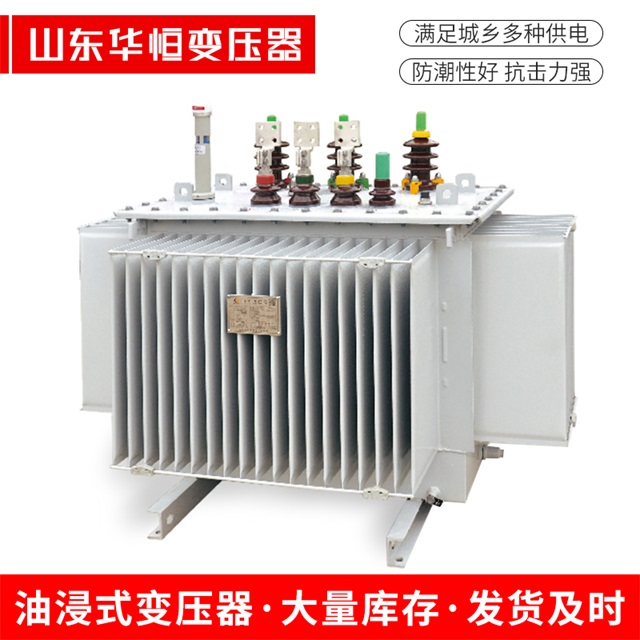 S13-10000/35新泰新泰新泰电力变压器