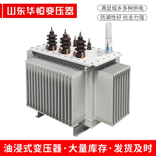 S13-10000/35新泰新泰新泰油浸式变压器厂家